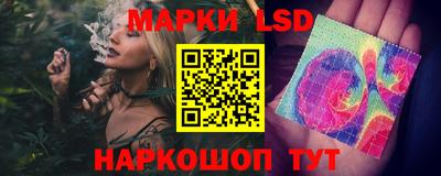 гидропоника Ставрополь
