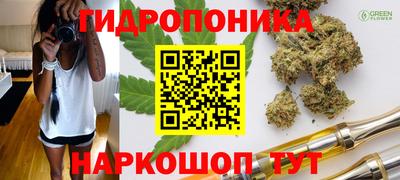 гидропоника Ставрополь