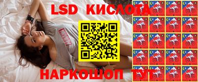 гидропоника Ставрополь