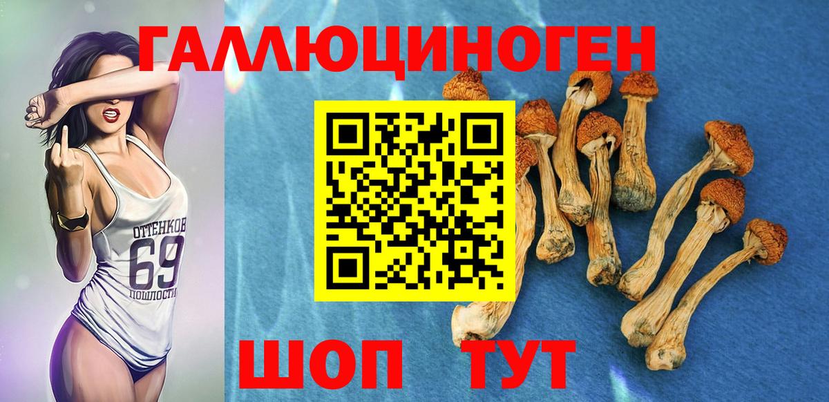 Псилоцибиновые грибы мухоморы  Псилоцибиновые грибы MAGIC MUSHROOMS  Саров  Вход с VPN 
